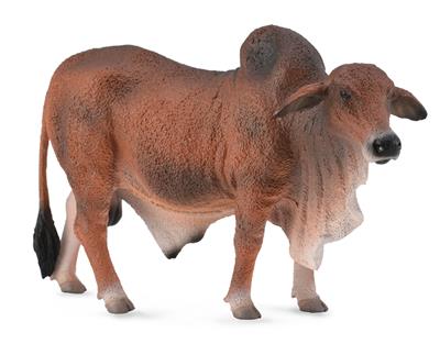 Rode Brahman-stier - (L)