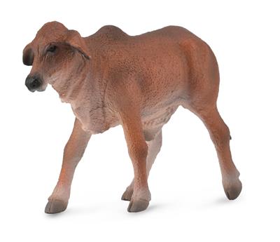 Rood Brahman-kalf - (S)
