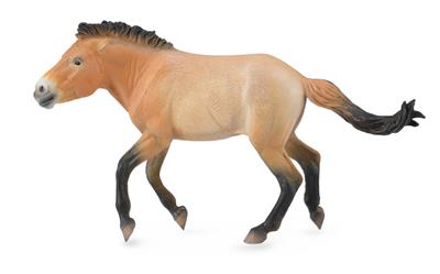 Przewalski-hengst - (XL)