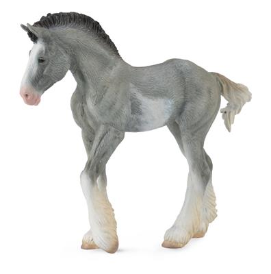 Clydesdale Foal - (M)