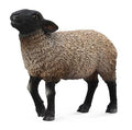 Figuur Mouton Suffolk - (M)