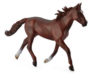 Standardbred hengst - (XL)