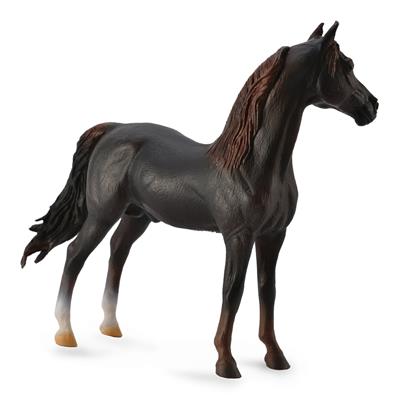 Morgan stallion Brown - (XL)