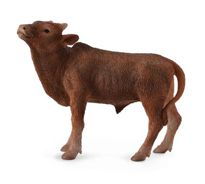 Watusi-kalf - (S)