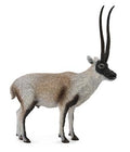 Figure Tibetan Antelope – Chiru - (L)