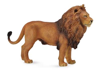 Collecta Animaux sauvages (L): LION AFRICAIN 14x9cm