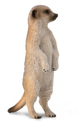 Mongoose - (S)