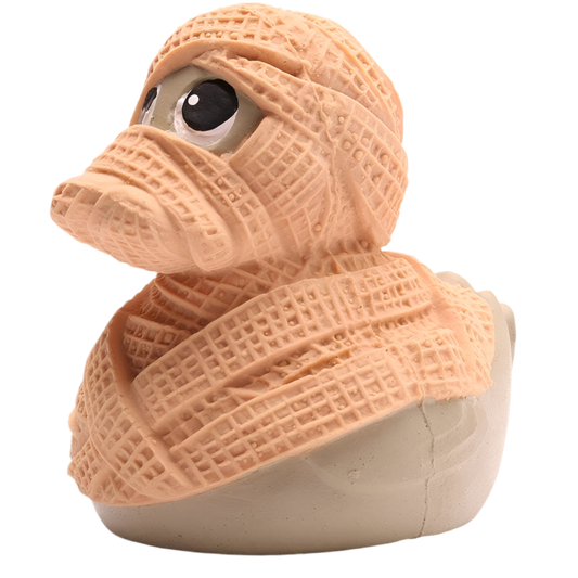 Mummy Duck