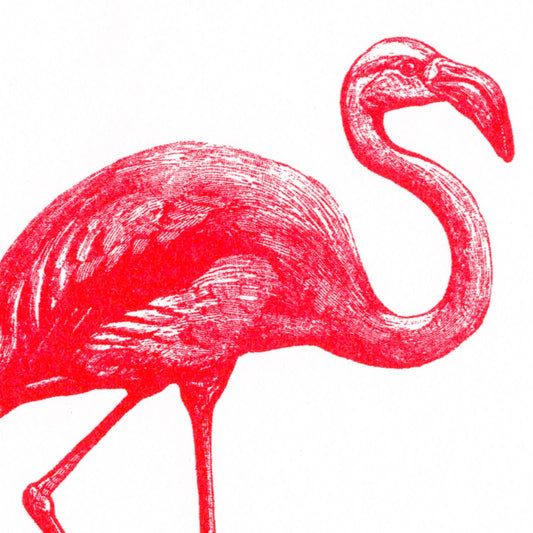 Carte postale Flamant Rose