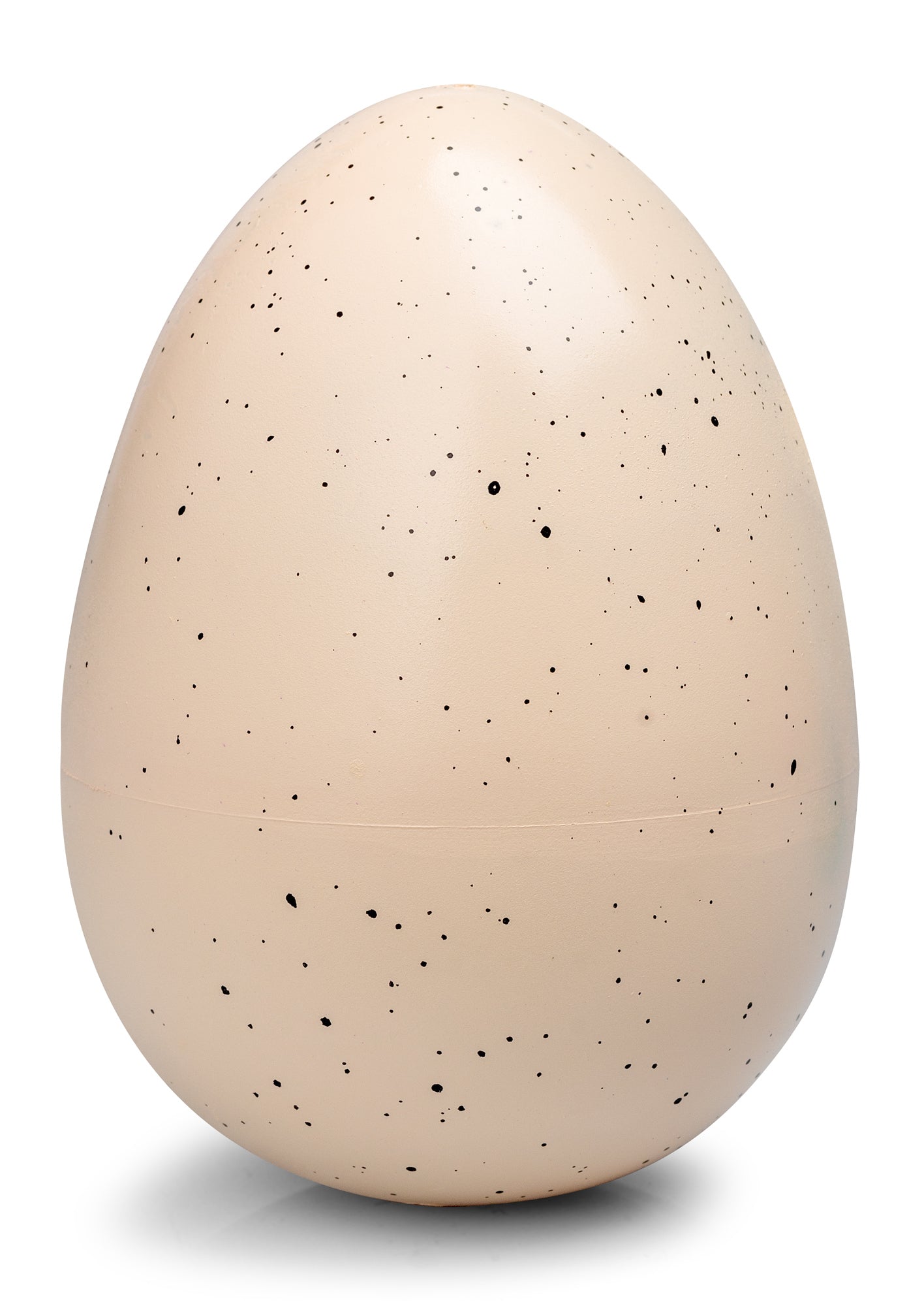 GIANT DINOSAUR EGG