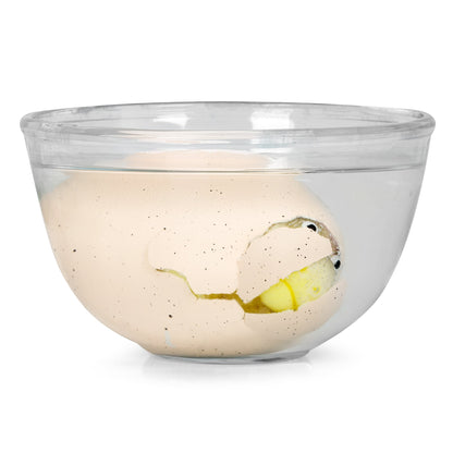 GIANT DINOSAUR EGG