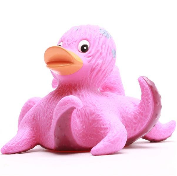 Canard Pieuvre