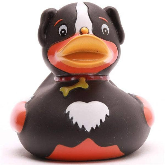 Canard Chien