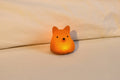 Petit veilleuse renard