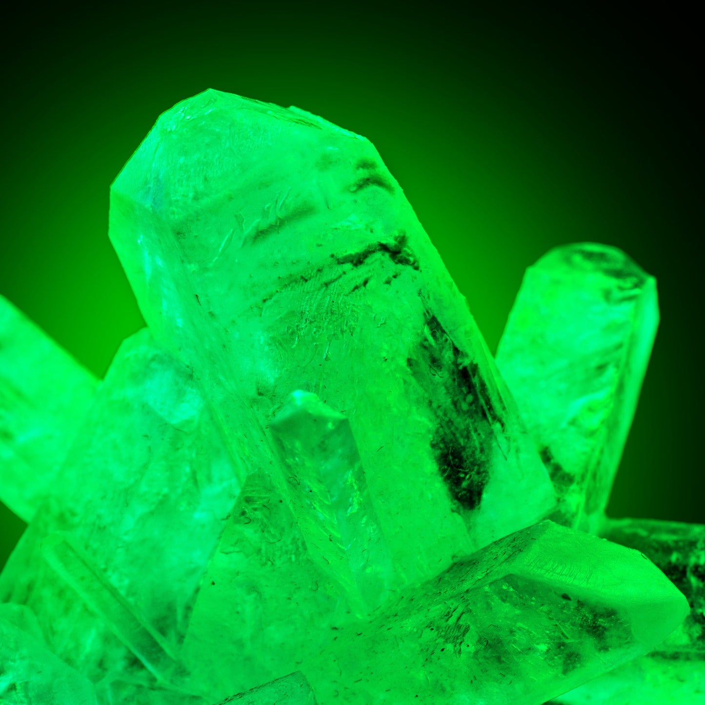 FAITES CULTIVER VOS PROPRES CRISTAUX LUMINEUX DANS LE NOIR