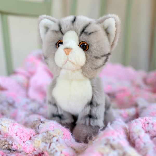 ANIMIGOS THE WORLD OF NATURE GREY TABBY CAT
