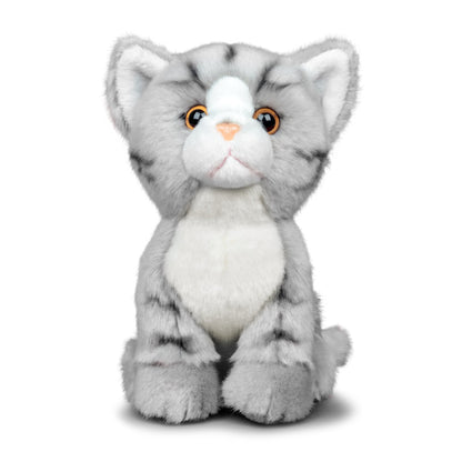 ANIMIGOS THE WORLD OF NATURE GREY TABBY CAT