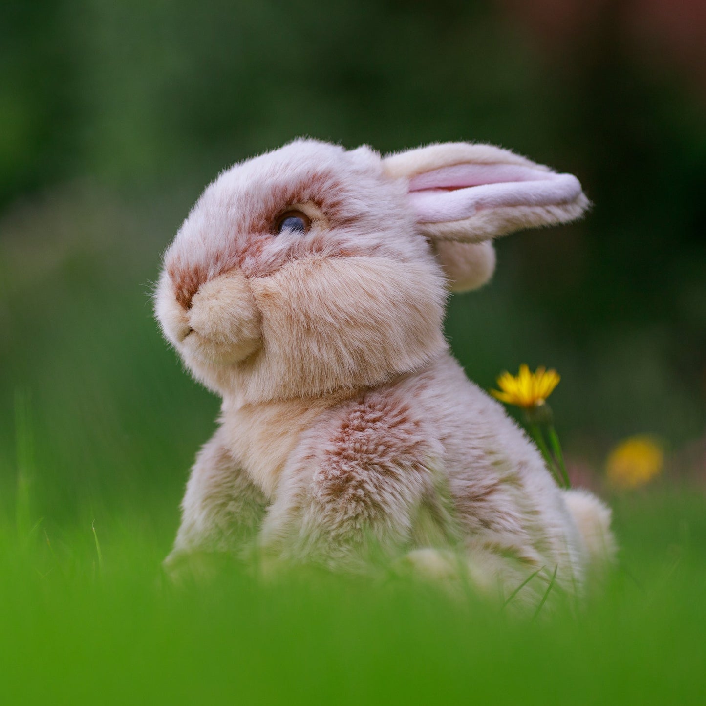 ANIMIGOS MONDE DE LA NATURE LAPIN EUROPÉEN