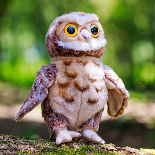 ANIMIGOS THE WORLD OF NATURE OWL GUY