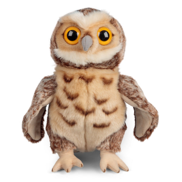 ANIMIGOS THE WORLD OF NATURE OWL GUY