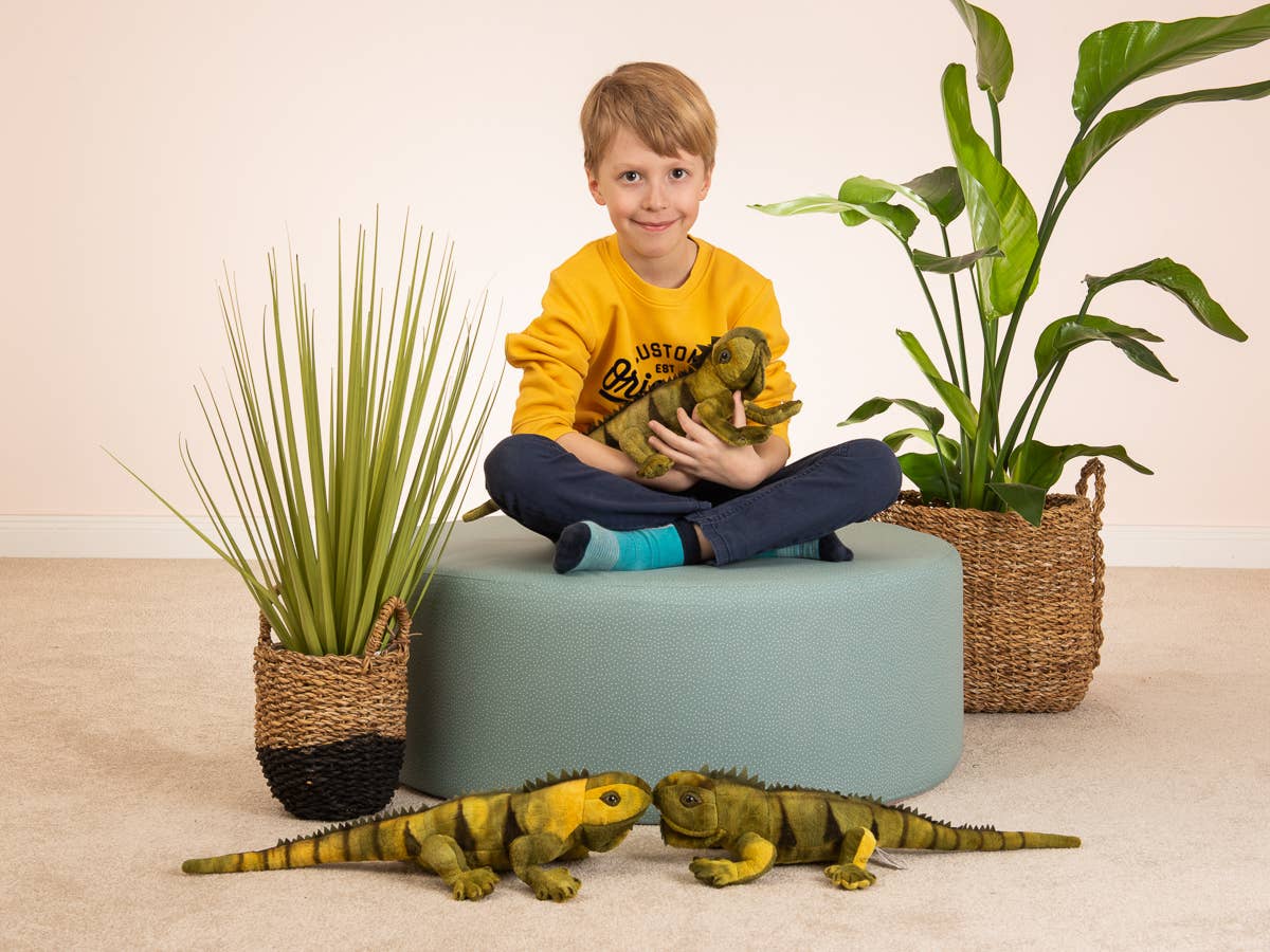 Iguana Plush – 49 cm