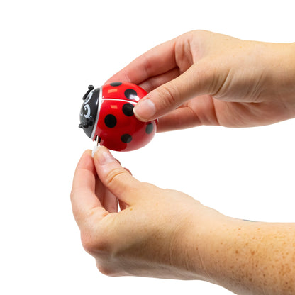 WIND-UP LADYBUG