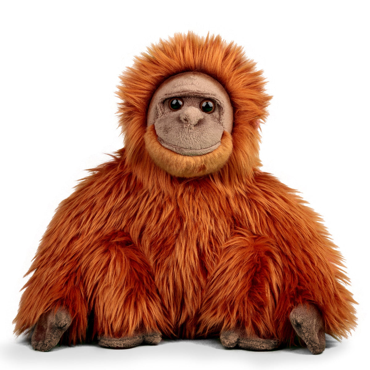 Orangoetan