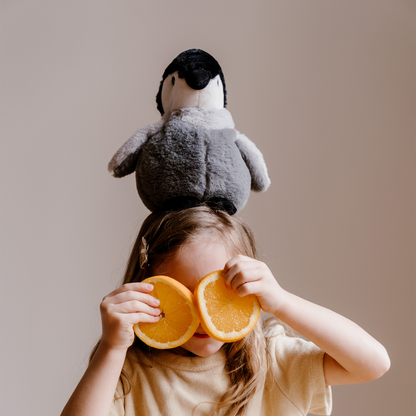 Warmies Penguin Plush Hot Water Bottle