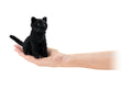 Zwarte kat vingerpoppetje
