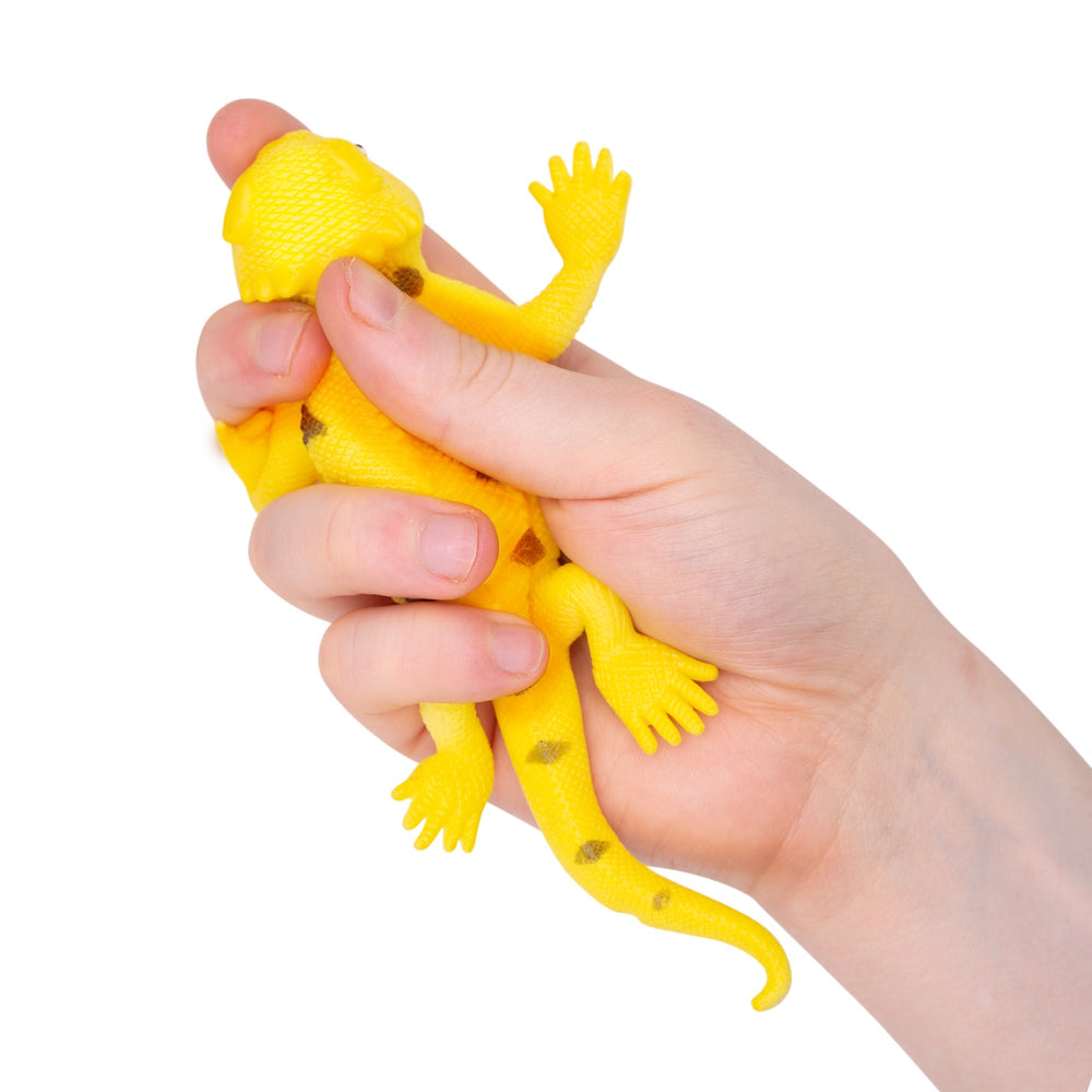Lézards Changeant de Couleur – Modèle Assorti