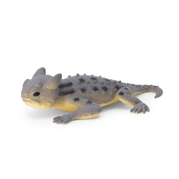 LIZARDS THAT CHANGE COLOUR
