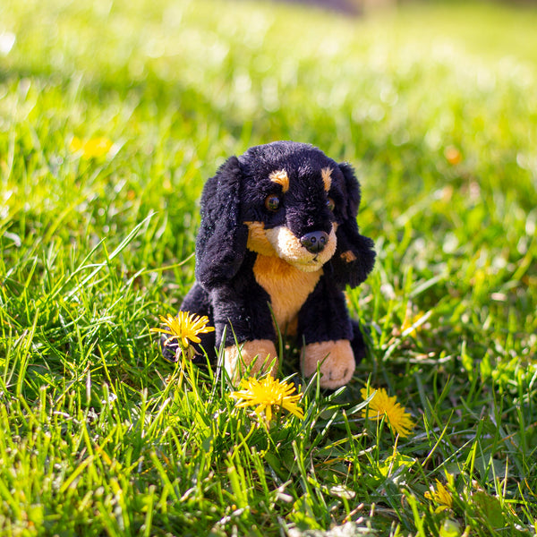 ANIMIGOS NATURE WORLD MINI DACHSHUND
