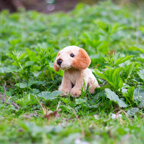 ANIMIGOS THE WORLD OF NATURE MINI COCKAPOO