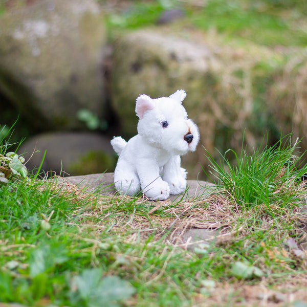 ANIMIGOS WILD WORLD MINI WESTIE