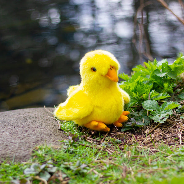 ANIMIGOS WORLD OF NATURE DUCKLING 18CM