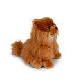 Peluche Animigos Poméranien – 30 cm