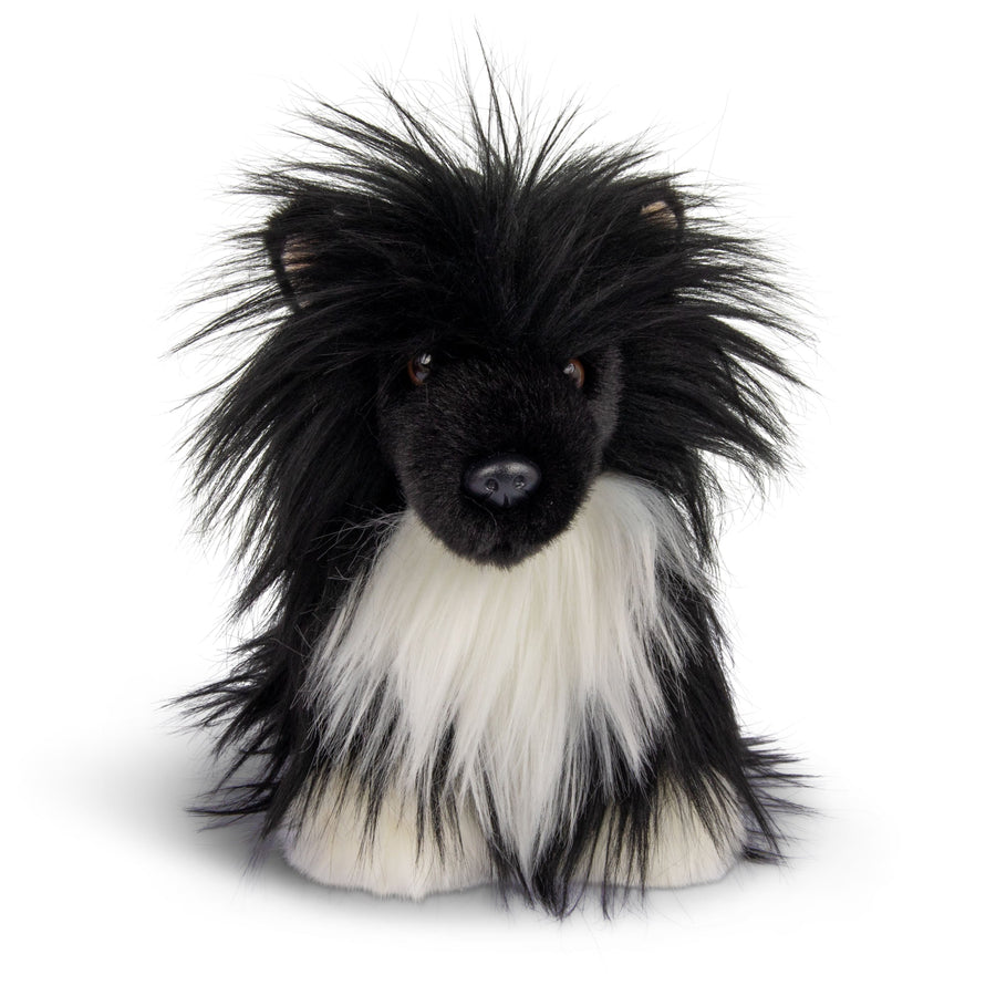 Chinesischer Schopfhund