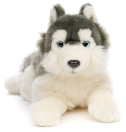 Peluche Husky gris, couché