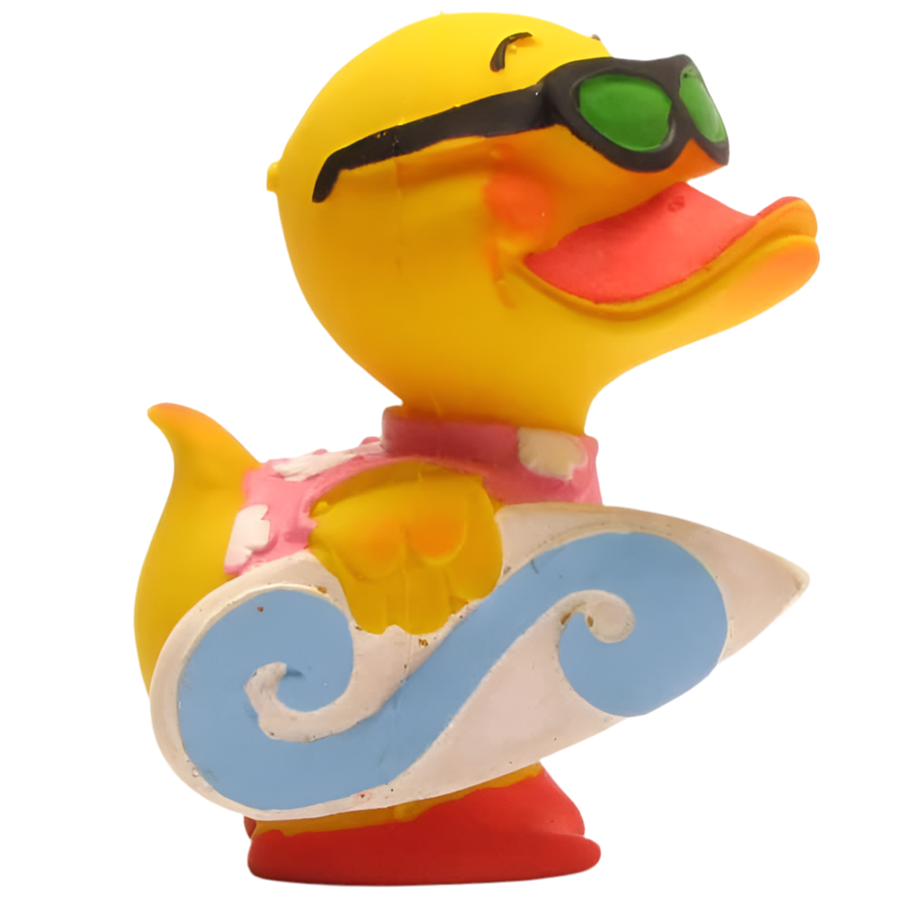 Surfer Duck