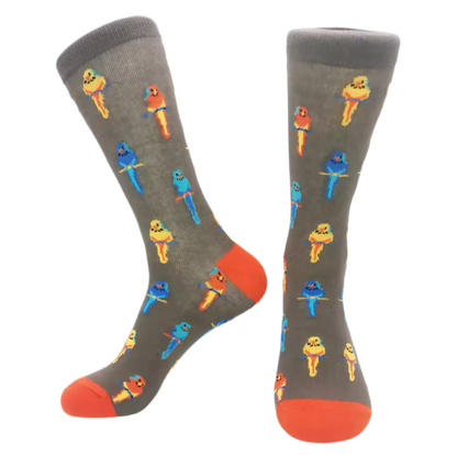 chaussettes perroquets exotiques mrcol
