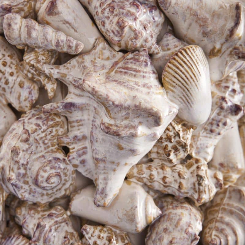 Schelpvaas, natuursteen L