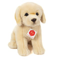 Zittende Golden Retriever Knuffel – 25 cm