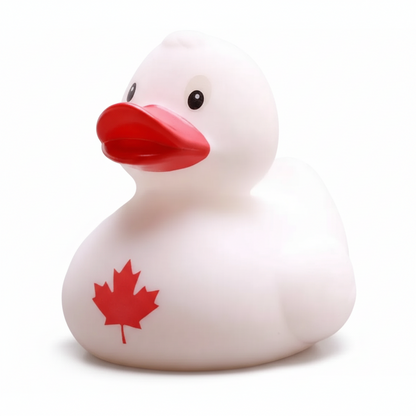 Canadian Duck