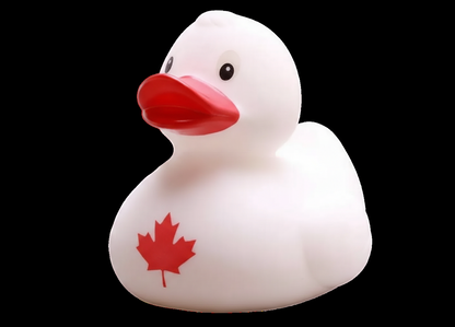 Canadian Duck