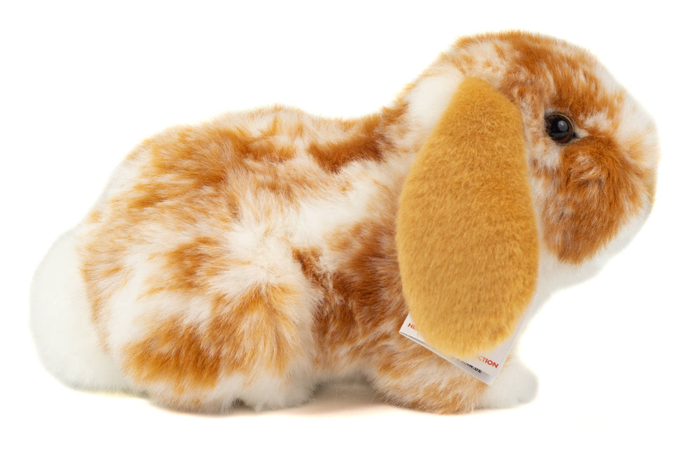 Light Beige and White Lop Rabbit Plush – 23 cm