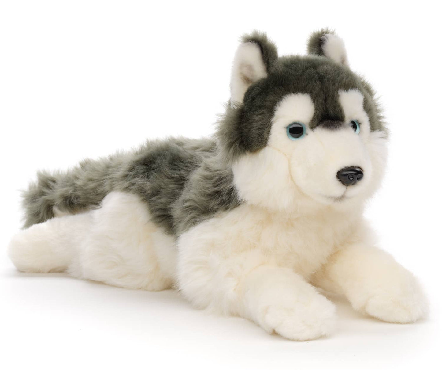 Peluche Husky gris, couché