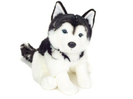 Sitting Husky Plush Toy