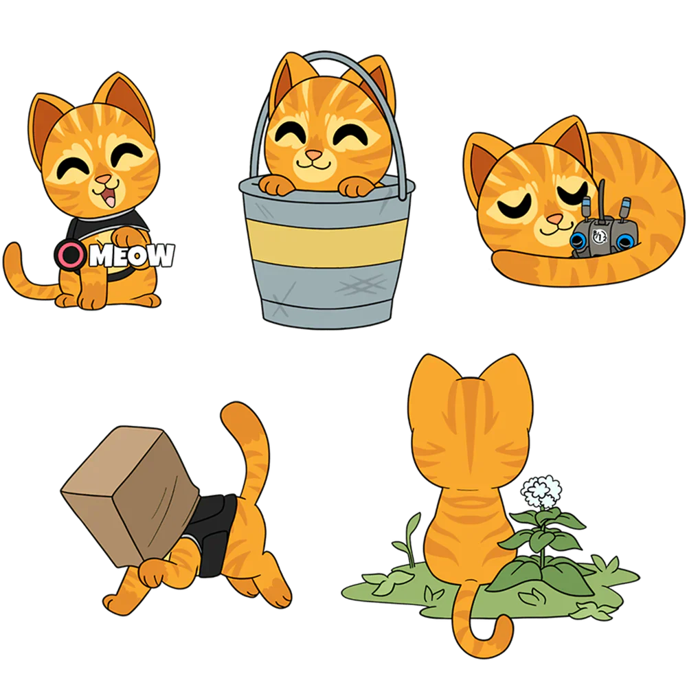 Set de 5 pin’s Stray