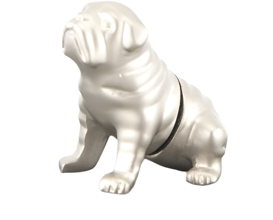Bulldog Magnetic Photo Holder