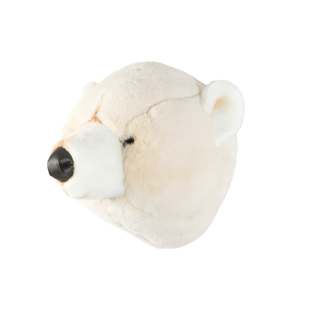 Basil the polar bear plush wall decor